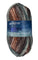 Autumnal colors skein of yarn