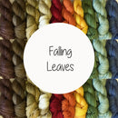 The Alpaca Yarn Co.: Mini Madness Mini Skein Kit-2