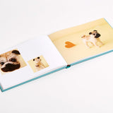 Little Felted Dogs: Easy Projects for Making Adorable Needle Felted Pups
