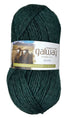 A skein of Plymouth Yarn Galway in the color heathered Mountain Green