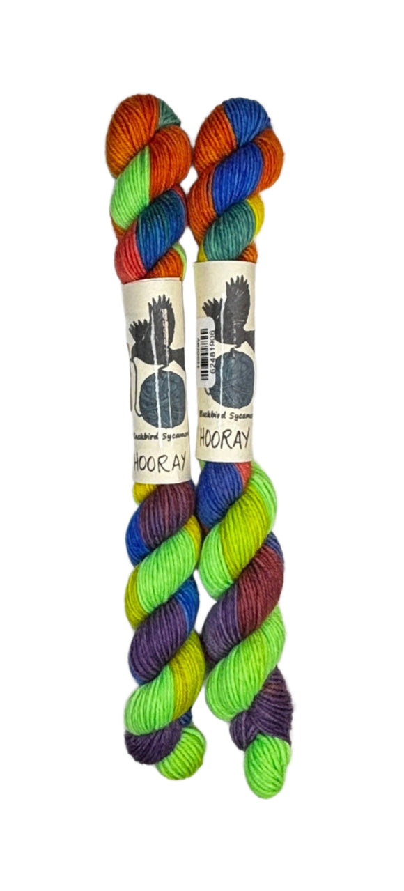 Two mini skeins of wool yarn hand dyed in Wyoming in the color green yellow blue orange purple