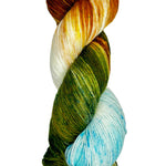 multi-colored skein of yarn 