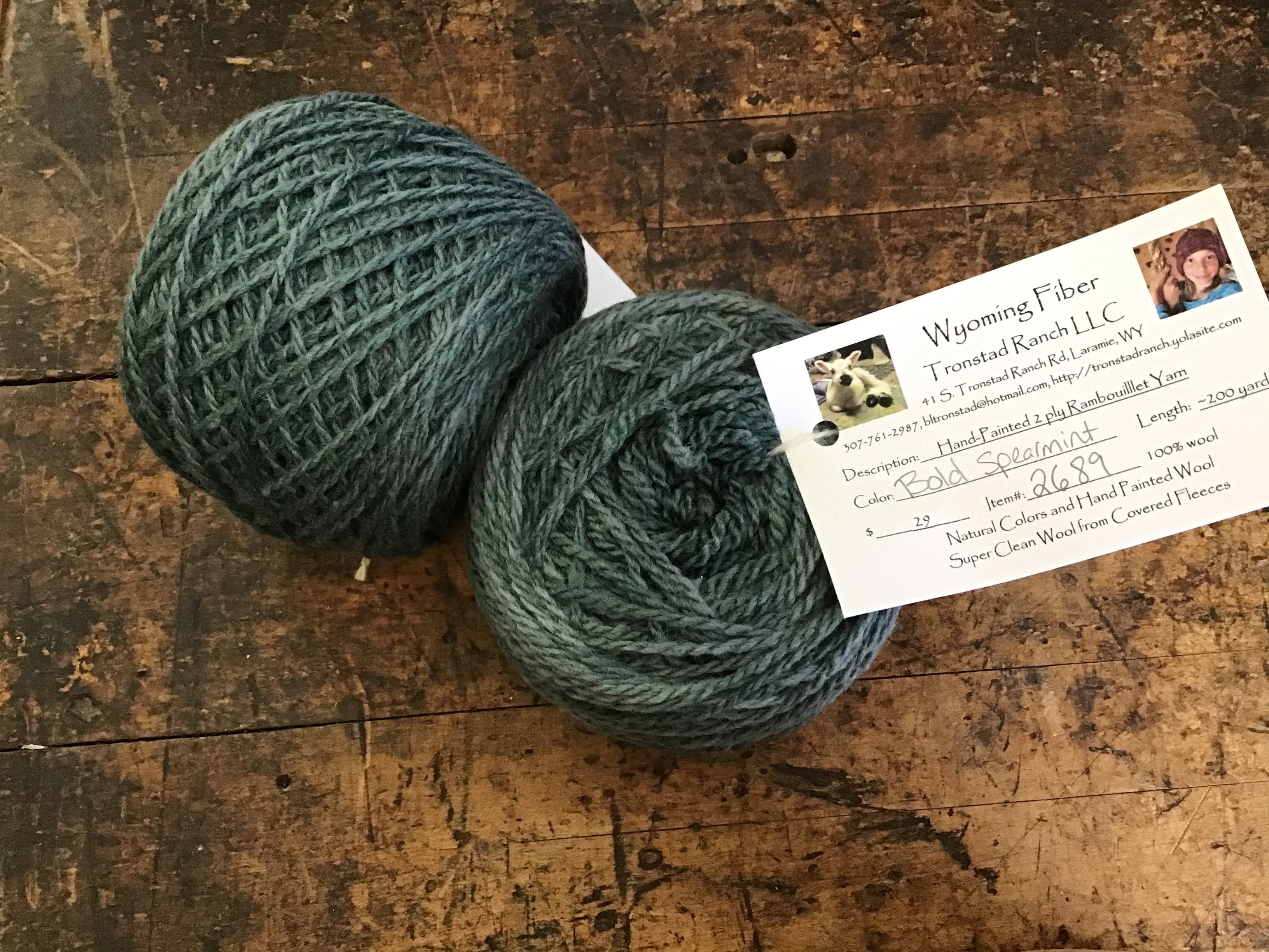 Tronstad Ranch Rambouillet Blend 2 Ply Yarn Worsted Weight Hand Painted