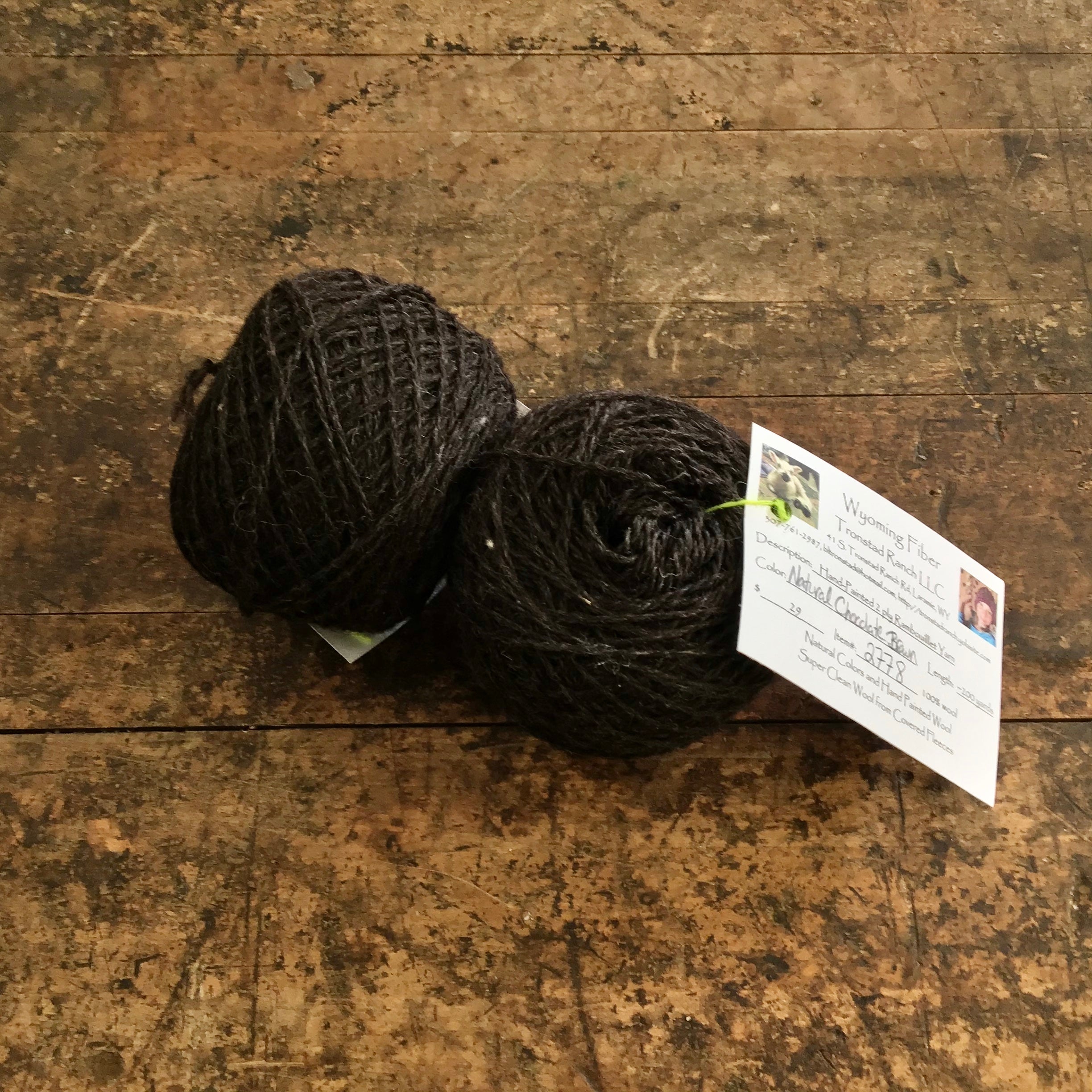 Tronstad Ranch Rambouillet Blend 2 Ply Yarn Worsted Weight Hand Painted