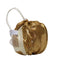 A small gold sequined drawstring bag with a white mesh side pocket and white strap, photographed on a plain light background.