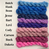 Road Trip DK weight 20 gram Yarn