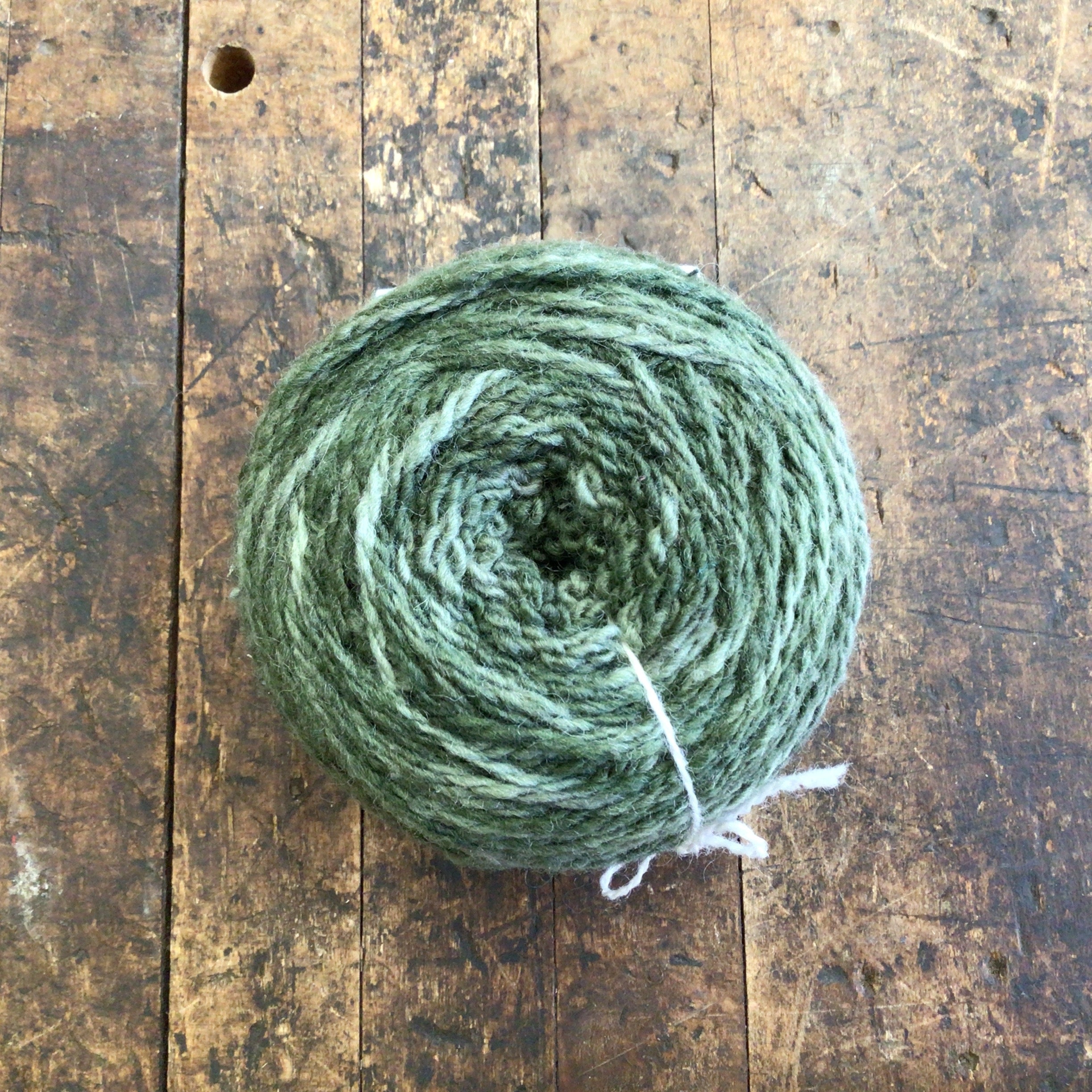 Tronstad Ranch Hand Rambouillet 2 Ply Worsted Weight Yarn - Forest