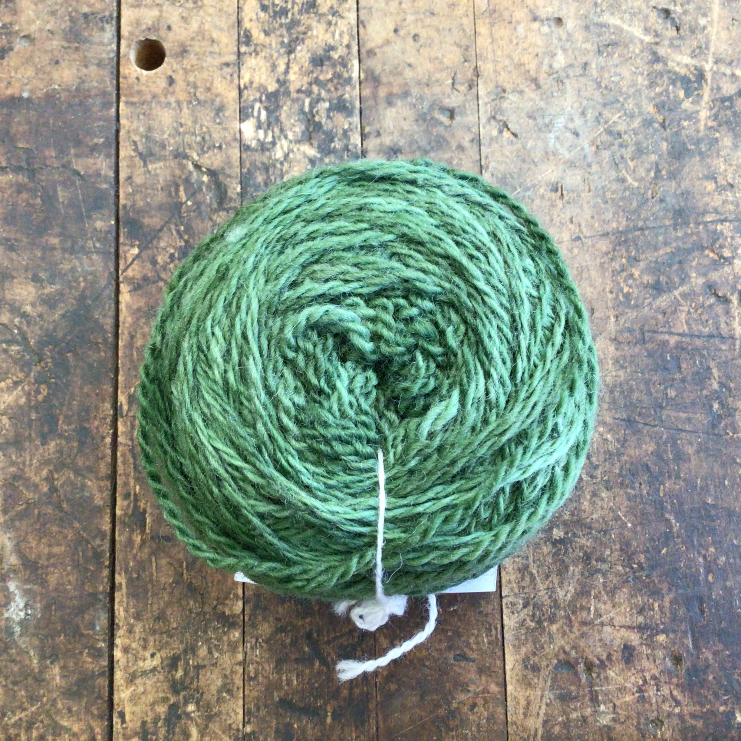 Tronstad Ranch Rambouillet 2 Ply Worsted Weight Yarn - Moss
