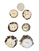 Antler Works Antler Buttons-15