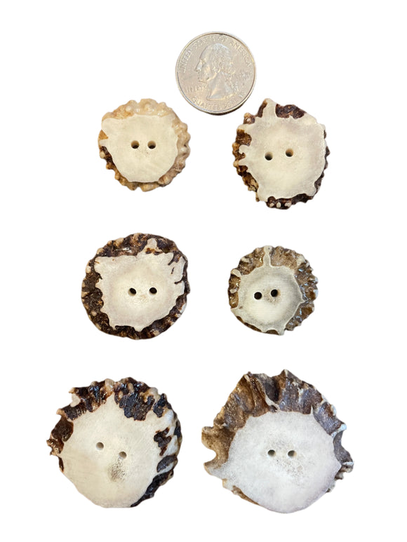 Antler Works Antler Buttons