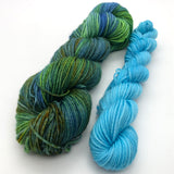 Road Trip Sock Yarn -  Knit Shawl We Share Combo Kit