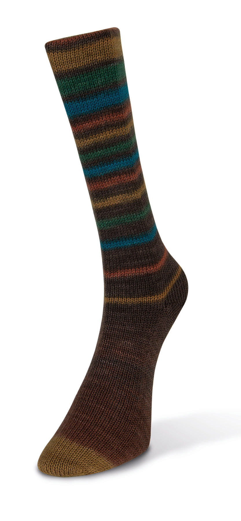Laines de Nord Inifinity Sock color brown green blue red