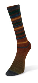 Laines de Nord Inifinity Sock color sienna blue yellow black