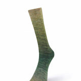 Laines de Nord Watercolor Sock