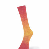 Laines de Nord Watercolor Sock