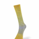 Laines de Nord Watercolor Sock