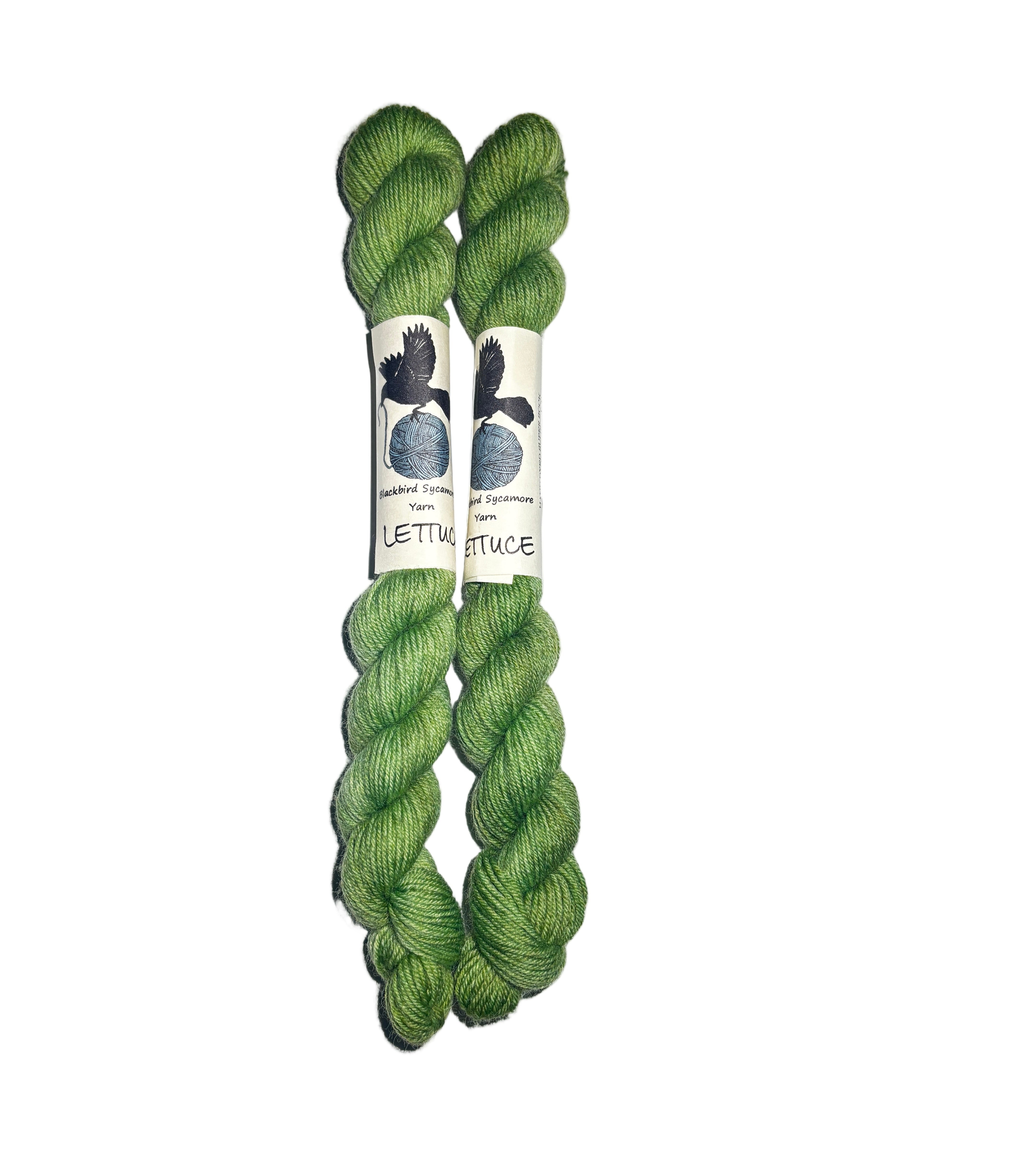 Two skeins of green yarn with labels on a white background