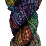 Multicolored Skein of yarn 