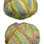 A variegated skein of yarn in the colors yellow orange green blue grey