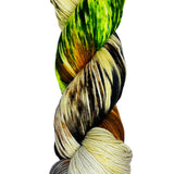 multi-colored skein of yarn 