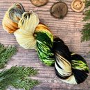 National Parks Yarn Hand Dyed Yarn by Knitted Wit-22