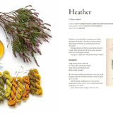 Natural Yarn Dyes: 25 vibrant and sustainable recipes