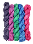 Road Trip Sock Yarn - Plucky Pioneer Mini Skein Sets-5