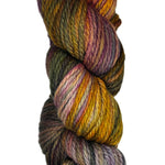 Skein of Malabrigo Chunky Yarn in the colors yellow orange grey black green brown mauve