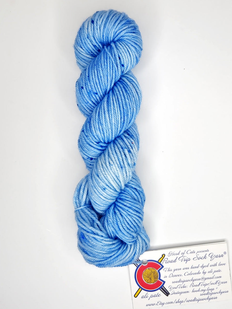 Road Trip 2023 DK weight yarn color light blue