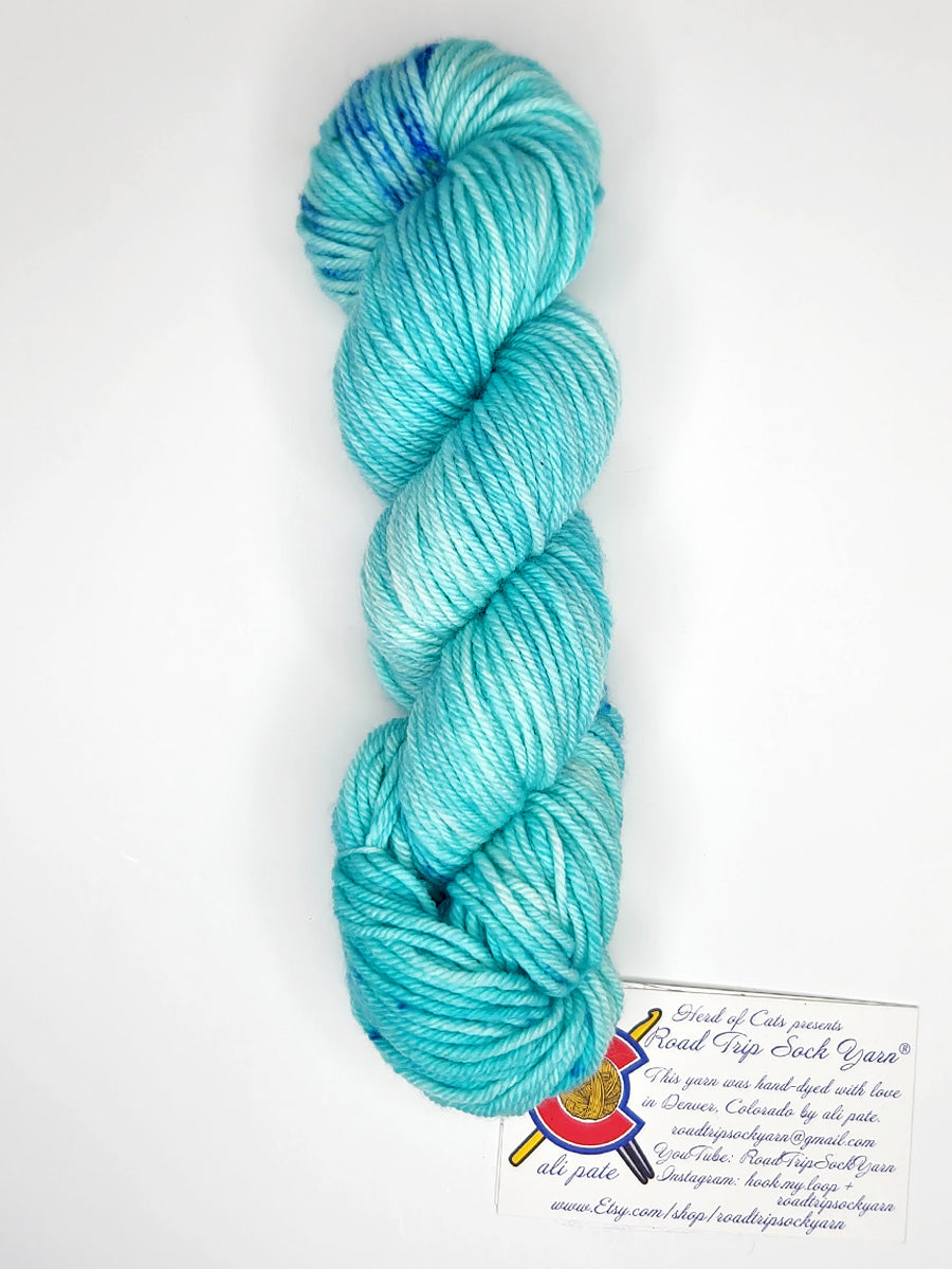 Road Trip 2023 DK weight yarn color teal and blue