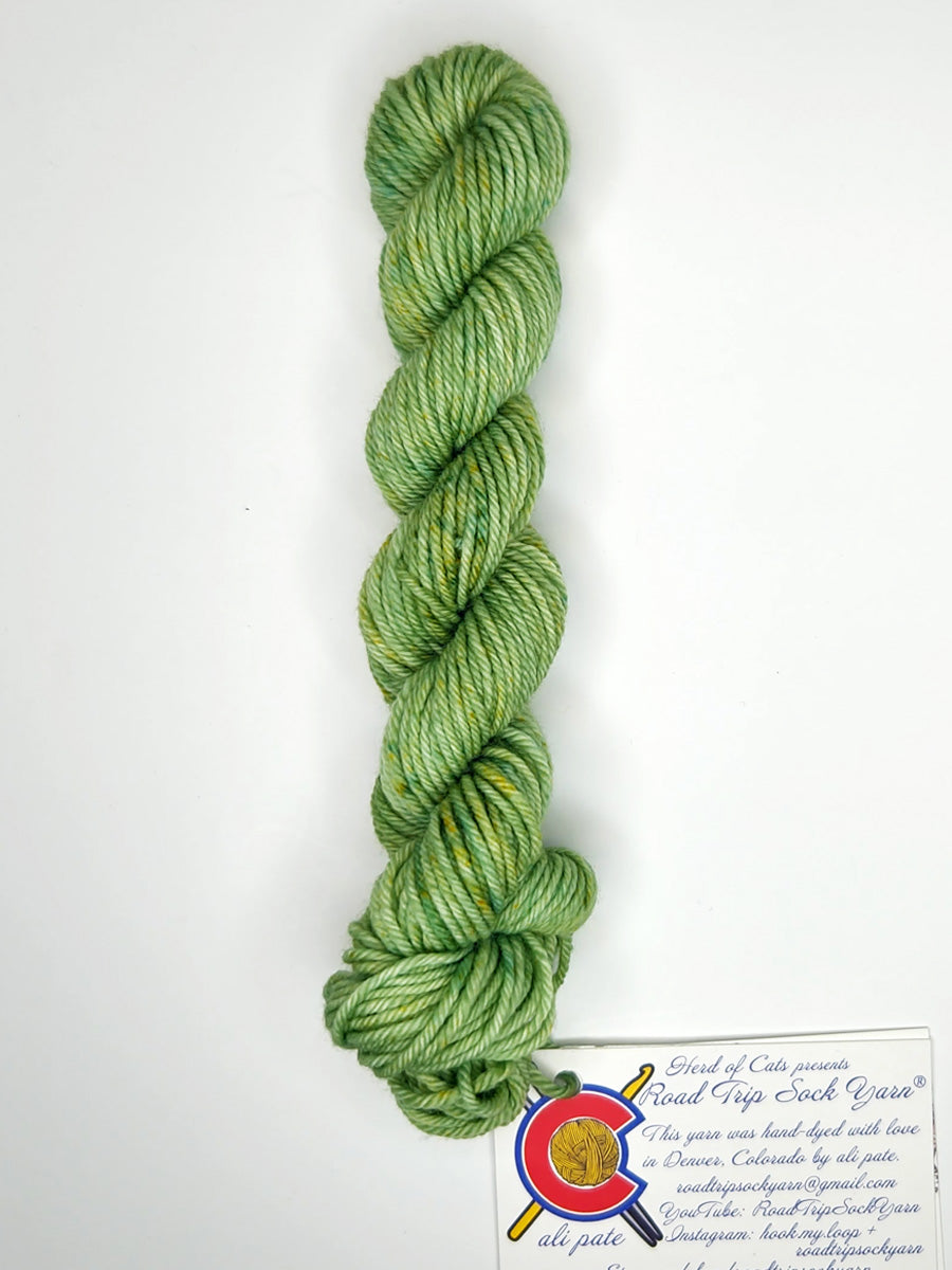 Road Trip 2023 DK weight yarn color green