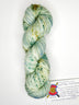 Road Trip 2023 DK weight yarn color teal and yellow