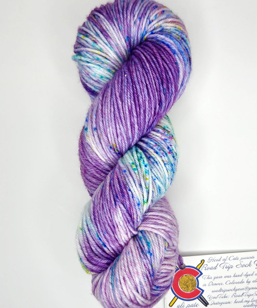 Road Trip 2023 DK weight yarn color purple and blue