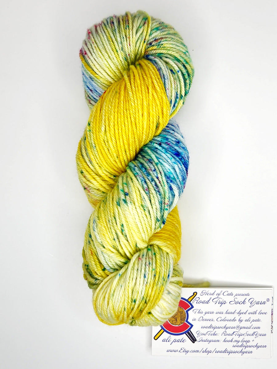 Road Trip 2023 DK weight yarn color yellow and blue