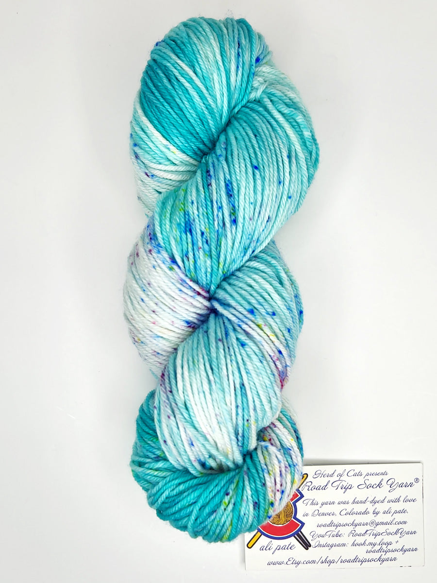Road Trip 2023 DK weight yarn color teal and white