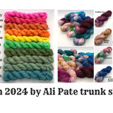 Road Trip DK weight 20 gram Yarn