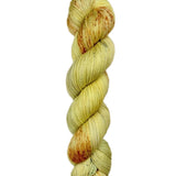Blackbird Sycamore Fingering Mini Skein Yarn Color yellow red orange speckles