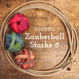 Schoppel Zauberball Starke 6 Yarn