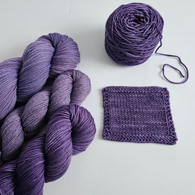 The Plucky Knitter LYS Day 2025 Exclusive Yarn Colorway - Come Together