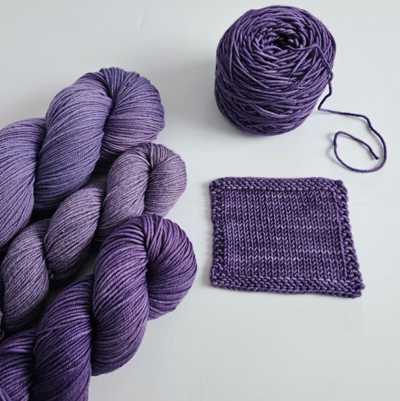 The Plucky Knitter LYS Day 2025 Exclusive Yarn Colorway - Come Together