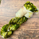 National Parks Yarn Hand Dyed Yarn by Knitted Wit-26