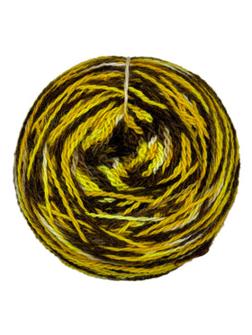 Tronstad Ranch Hand Painted Cowboy Rambouillet 2 Ply Yarn