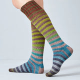 Uneek Sock Kit by Urth Yarns