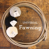 Universal Yarn Fawning Yarn