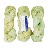 Malabrigo Vientos Yarn