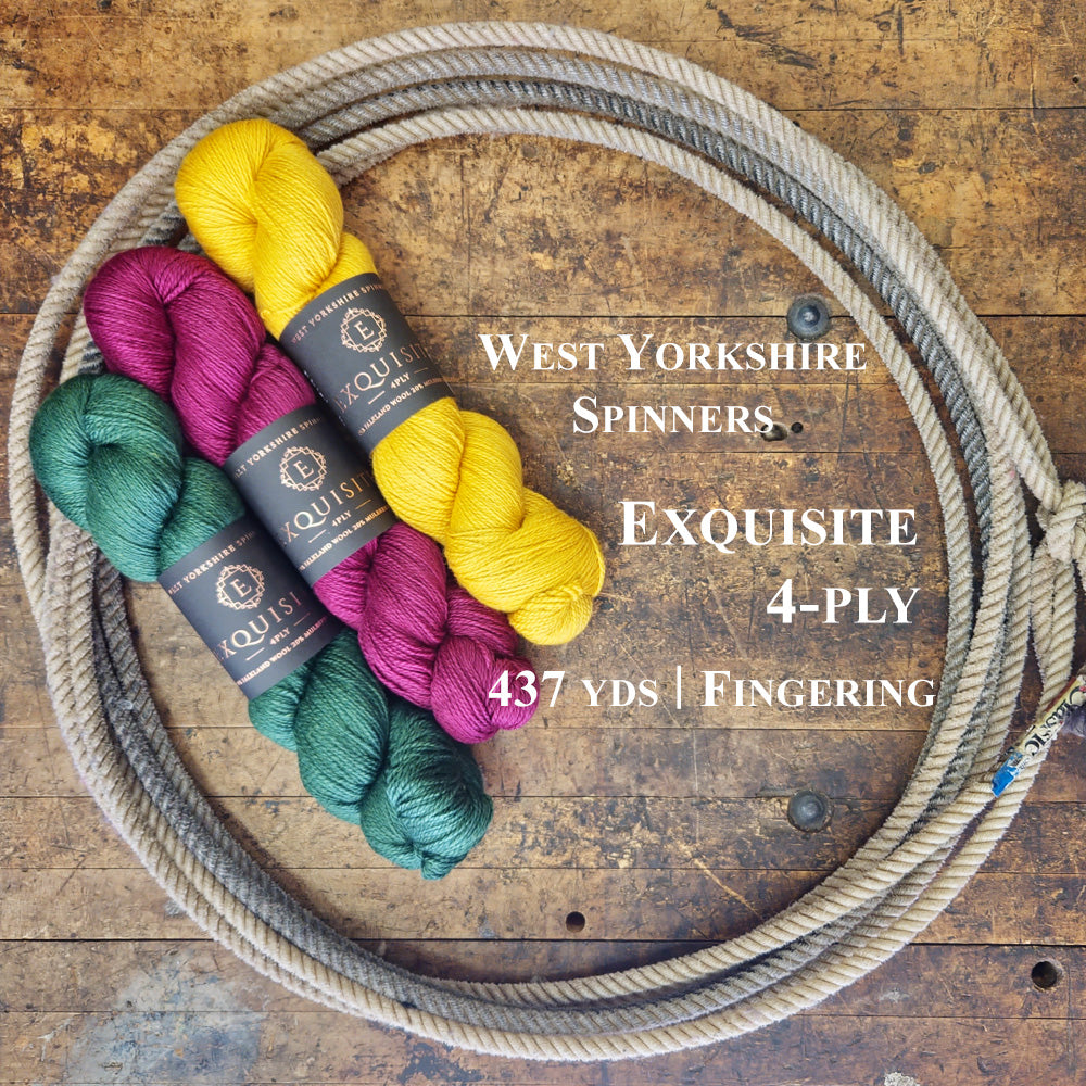 West Yorkshire Spinners Exquisite 4 ply Fingering YARN