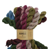 Blue Sky Fibers Woolstok Bundle Yarn Kit