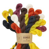 Blue Sky Fibers Woolstok Bundle Yarn Kit
