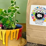Wool Pellets by Nerdy Sheep Fiber Works