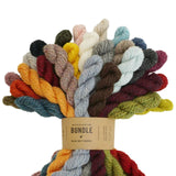 Blue Sky Fibers Woolstok Bundle Yarn Kit